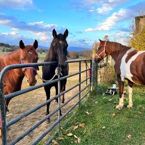 Meet your Posher, Lori